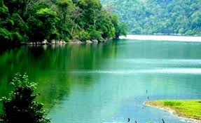 មណ្ឌលផ្ទុកបំរុងប៉ីអូហ្សេពិភពលោកនៅដំបន់ដីសណ្តទន្លេ Hong។